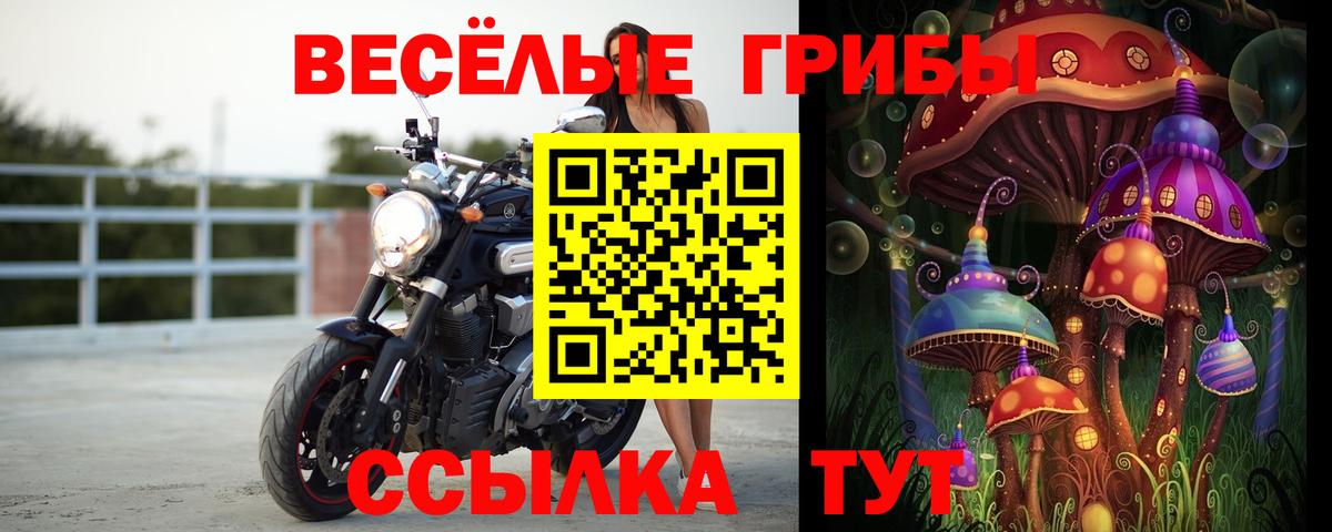 Камышлов  Псилоцибиновые грибы Magic Shrooms  Вход с VPN 